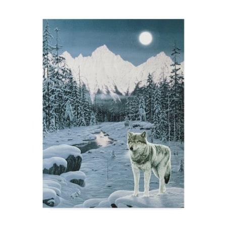Jeff Tift 'Winter Twilight' Canvas Art,35x47